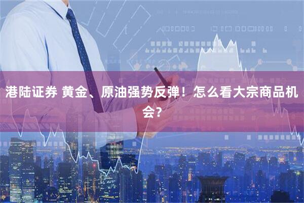 港陆证券 黄金、原油强势反弹！怎么看大宗商品机会？