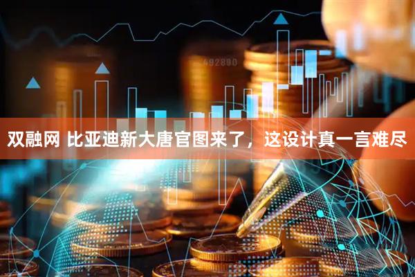 双融网 比亚迪新大唐官图来了，这设计真一言难尽