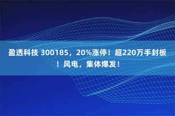 盈透科技 300185，20%涨停！超220万手封板！风电，集体爆发！