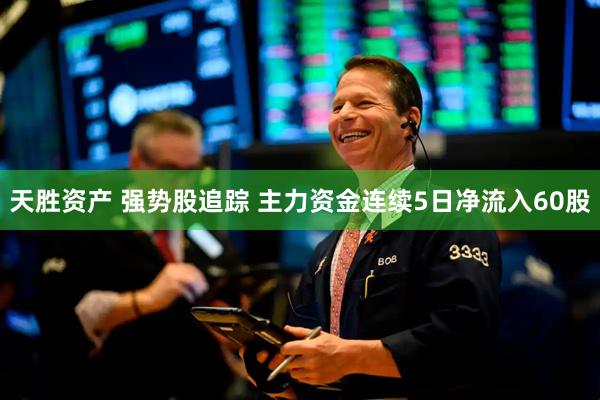 天胜资产 强势股追踪 主力资金连续5日净流入60股