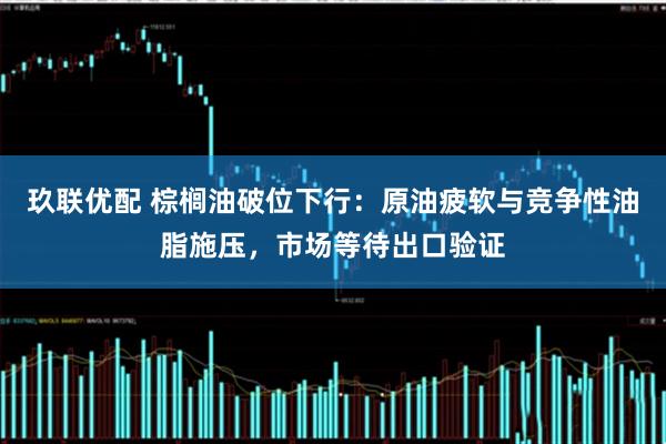 玖联优配 棕榈油破位下行：原油疲软与竞争性油脂施压，市场等待出口验证