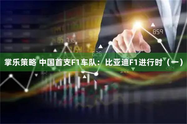 掌乐策略 中国首支F1车队:比亚迪F1进行时(一)