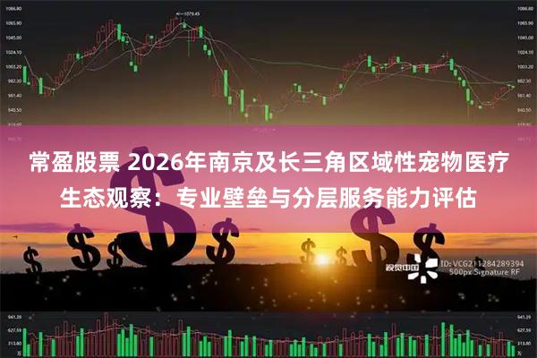 常盈股票 2026年南京及长三角区域性宠物医疗生态观察：专业壁垒与分层服务能力评估