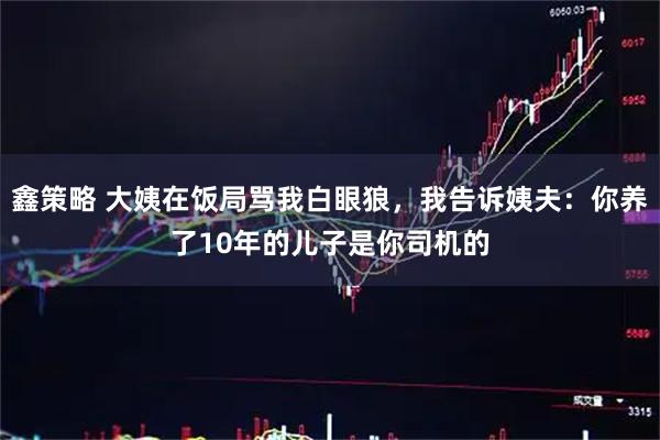 鑫策略 大姨在饭局骂我白眼狼，我告诉姨夫：你养了10年的儿子是你司机的