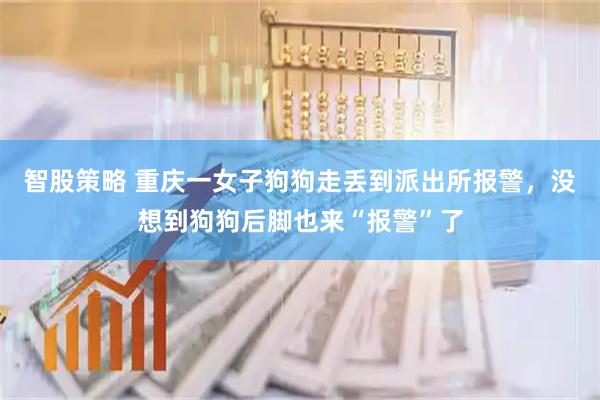 智股策略 重庆一女子狗狗走丢到派出所报警，没想到狗狗后脚也来“报警”了