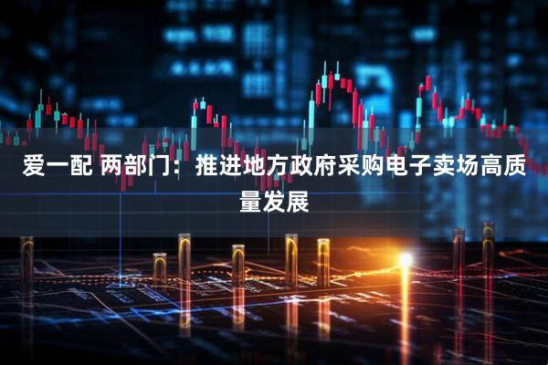 爱一配 两部门:推进地方政府采购电子卖场高质量发展