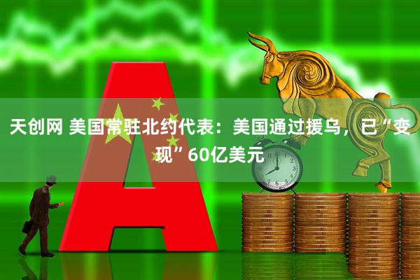 天创网 美国常驻北约代表:美国通过援乌,已“变现”60亿美元