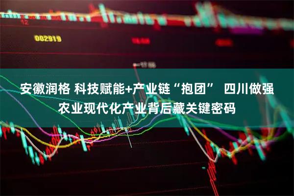 安徽润格 科技赋能+产业链“抱团”  四川做强农业现代化产业背后藏关键密码