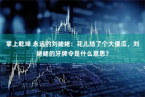 掌上乾坤 永远的刘姥姥：花儿结了个大倭瓜，刘姥姥的牙牌令是什么意思？