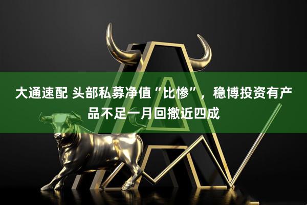 大通速配 头部私募净值“比惨”,稳博投资有产品不足一月回撤近四成
