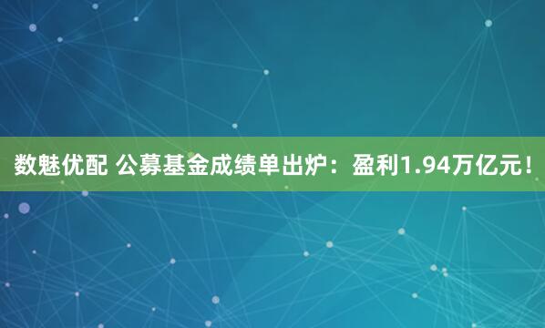 数魅优配 公募基金成绩单出炉：盈利1.94万亿元！