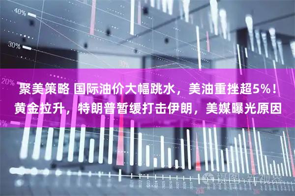 聚美策略 国际油价大幅跳水，美油重挫超5%！黄金拉升，特朗普暂缓打击伊朗，美媒曝光原因