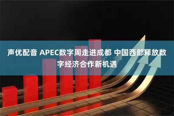 声优配音 APEC数字周走进成都 中国西部释放数字经济合作新机遇
