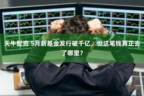 天牛配资 5月新基金发行破千亿，但这笔钱真正去了哪里？