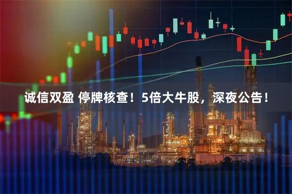 诚信双盈 停牌核查！5倍大牛股，深夜公告！