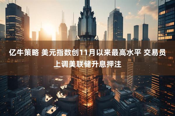 亿牛策略 美元指数创11月以来最高水平 交易员上调美联储升息押注