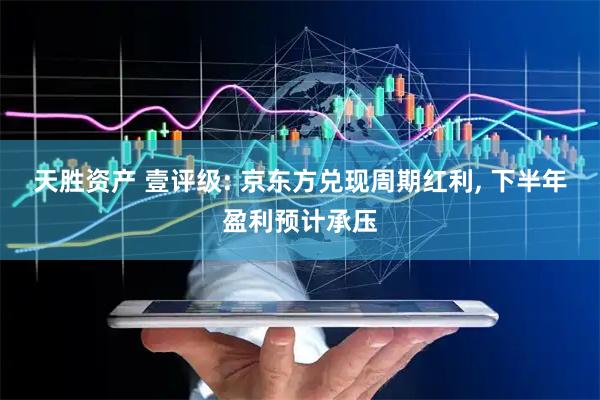 天胜资产 壹评级: 京东方兑现周期红利, 下半年盈利预计承压