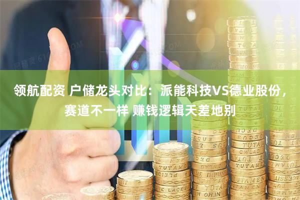 领航配资 户储龙头对比：派能科技VS德业股份，赛道不一样 赚钱逻辑天差地别