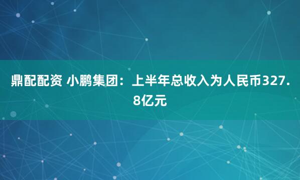 鼎配配资 小鹏集团：上半年总收入为人民币327.8亿元